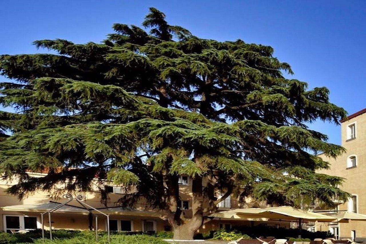 Hotel Relais Buonanno 4*